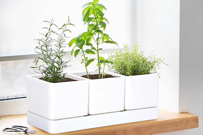 D'vine Dev Herb Garden Planter Set, Plastic Plant Pots - Image 4