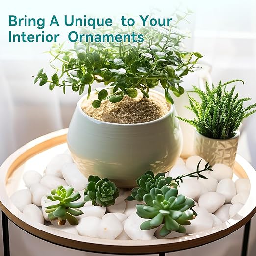 15 lbs White Rocks for Landscaping, 1-2 inch Decorative Rocks for Plants Indoor - Image 5