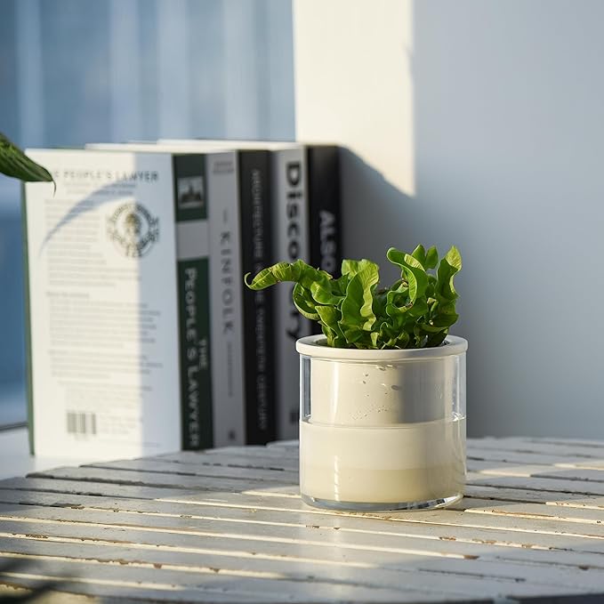 Phoenix Vine 4 Inch Self Watering Planter Pot, Design White Terracotta Pots - Image 2