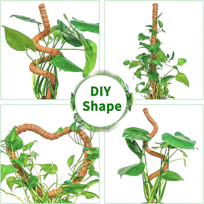 4 Pack 39 Inch Moss Pole Monstera Plant Support, Coir Moss Poles - Image 5
