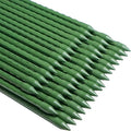 WAENLIR Garden Stakes 60 inch 5ft Sturdy Tomato Stakes, Plant Stakes by WAENLIR