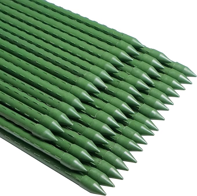 WAENLIR Garden Stakes 60 inch 5ft Sturdy Tomato Stakes, Plant Stakes by WAENLIR