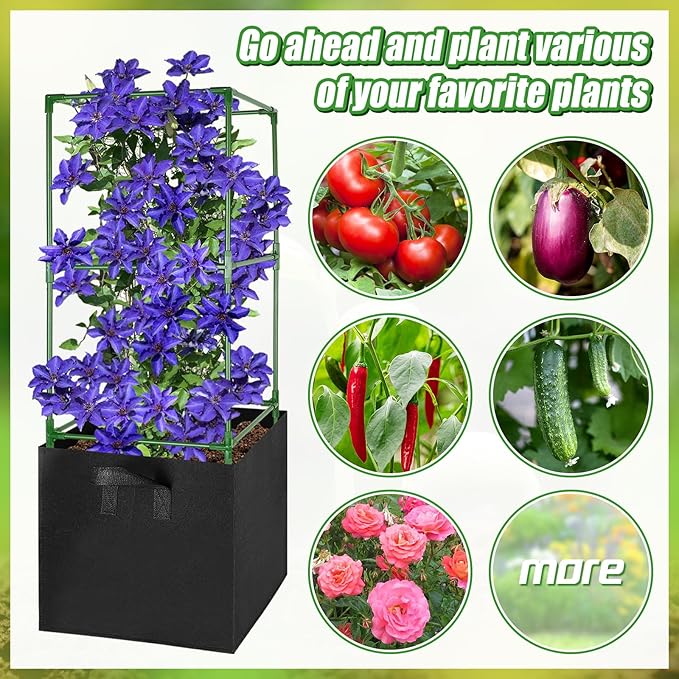 ANPHSIN 3 Sets Tomato Cages - Image 7