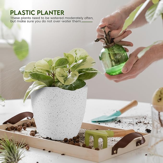 Utopia Home - Spotty Plant Pots Indoor - 7/6.6/6/5.3/4.8 Inches Flower Pots - - Image 5