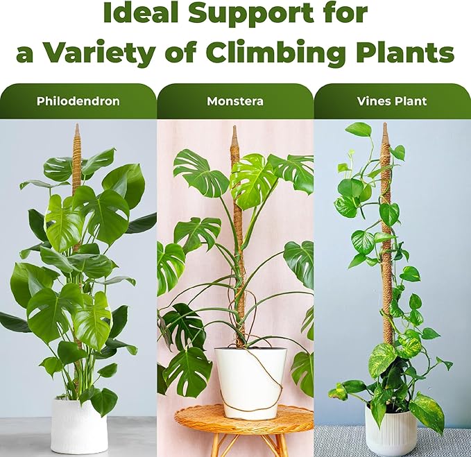 2 Pack 48'' Bendable Moss Pole Monstera Plant Support - Image 4