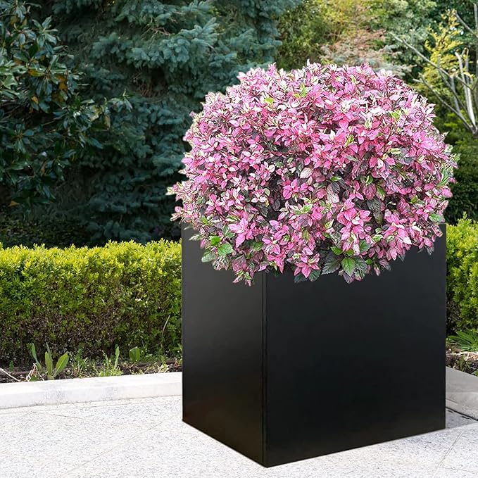 Galvanized Steel Planter Box Black Metal Planter 20Inch Large Square Indoor - Image 7