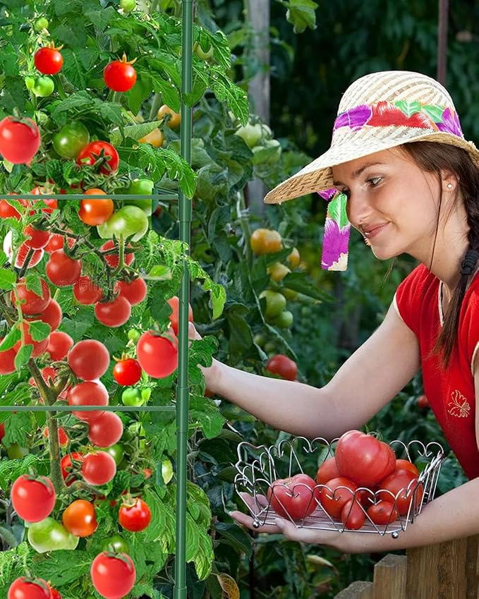 6 Pack Tomato Cages for Garden, 51in*13in Adjustable Tomatoes Plant Stakes - Image 9