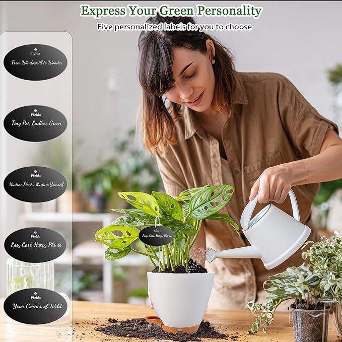 6 Inch Self Watering Pots for Indoor Plants – Small Plastic Planters - Image 3