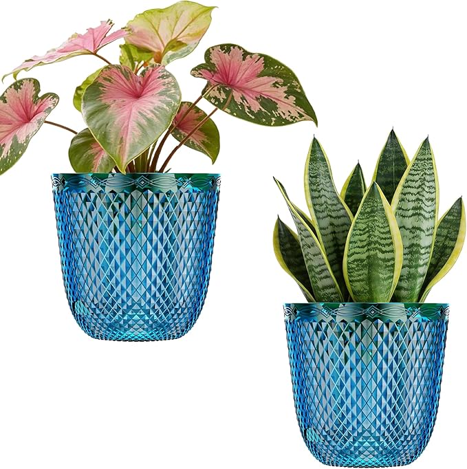 QCQHDU 2 Pack Self Watering Pots, 5.7 Inch Flower Pots by QCQHDU