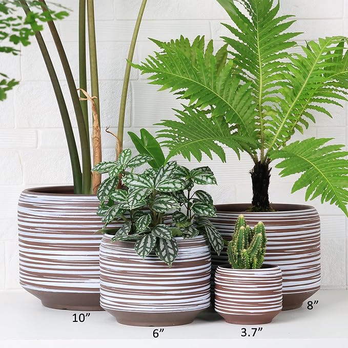 8 Inch + 6 Inch Ceramic Plant Pots Indoor - Image 7