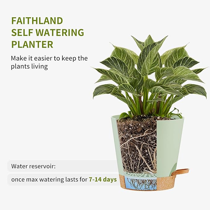 FaithLand 2-Pack 9 Inch Planter Pots - Image 3