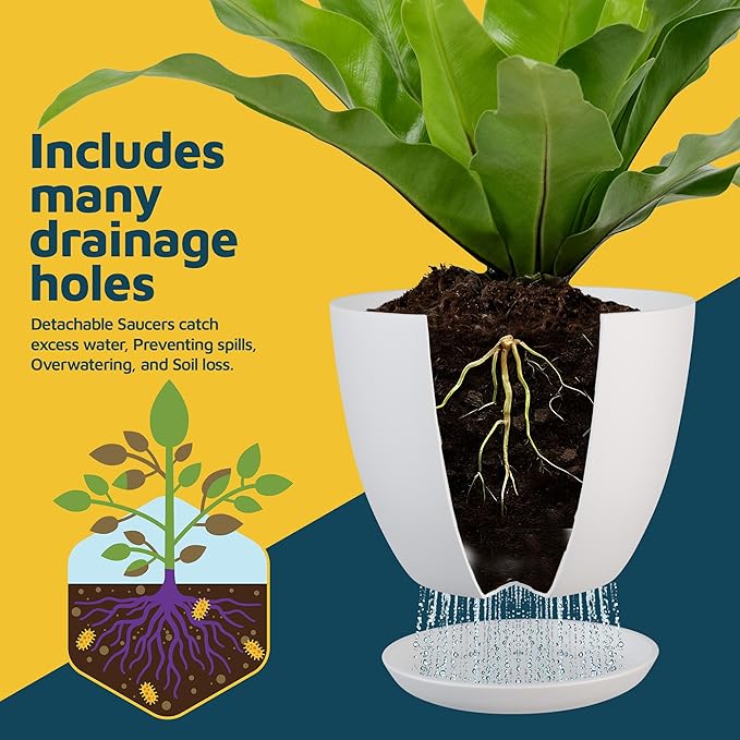 Multicolor Plant Pots with Drainage Holes & Saucers 10 Pack, Indoor & Outdoor - Image 6