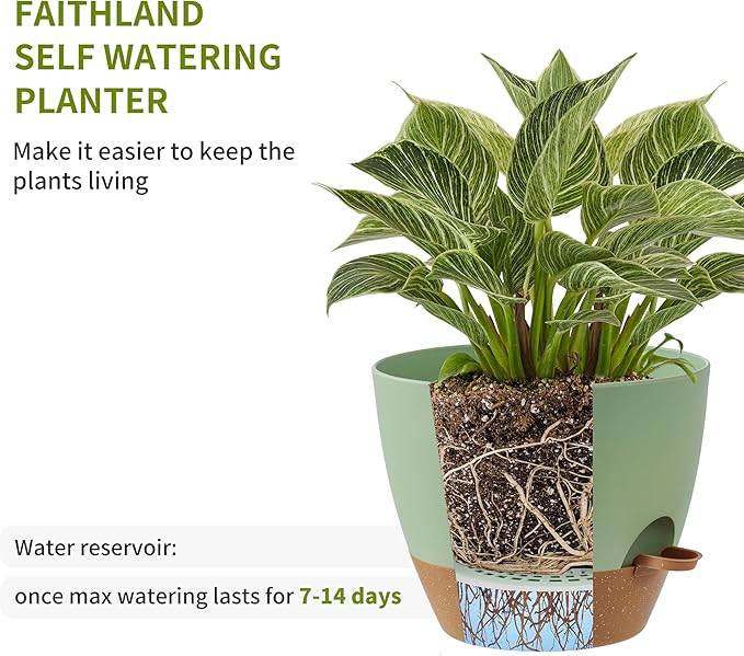 FaithLand 3-Pack Planter Pots, 10 9 8 Inch Self Watering Flower Pots - Image 4