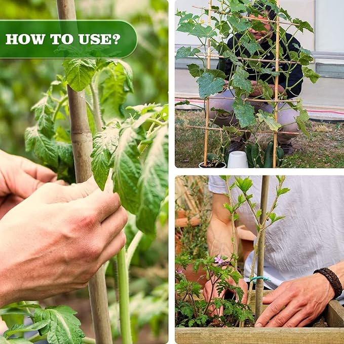25pcs 7/20" D Thicker Heavy Duty Bamboo Stakes, 3FT Plant Stakes, Natural - Image 6