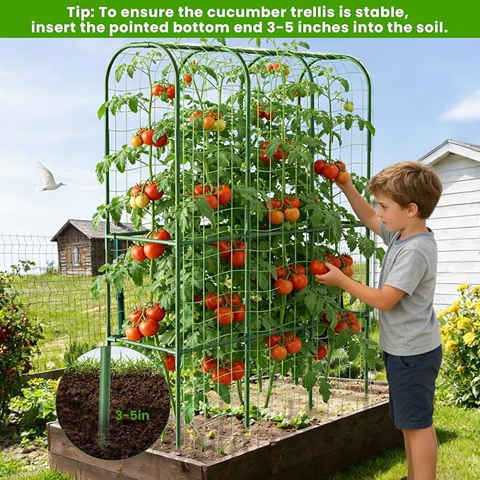 65in Tall Cucumber Trellis for Raised Bed, U-Shape Vegetables Trellis Support - Image 5