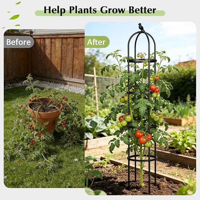 Garden Obelisk Trellis for Climbing Plants Outdoor, 6.2 FT Tomato Cage - Image 6