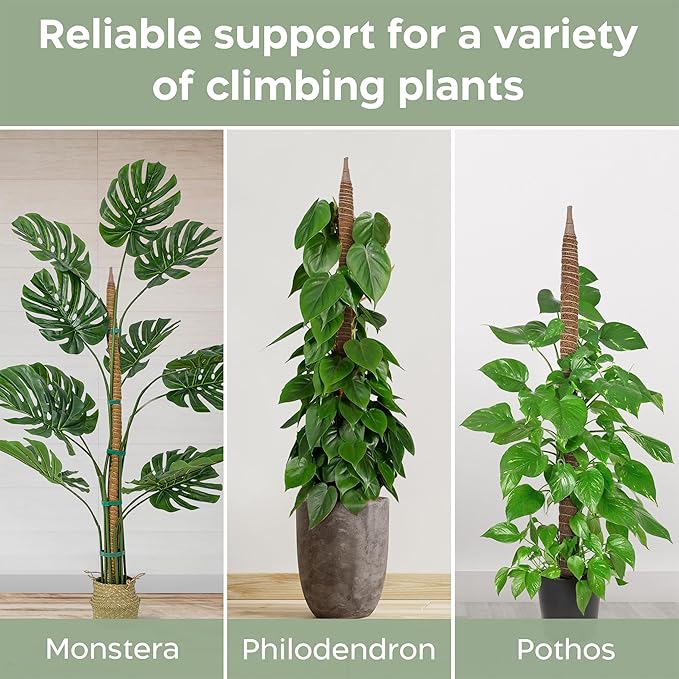 K-Brands 48'' Bendable Moss Pole Monstera Plant Support - Image 4