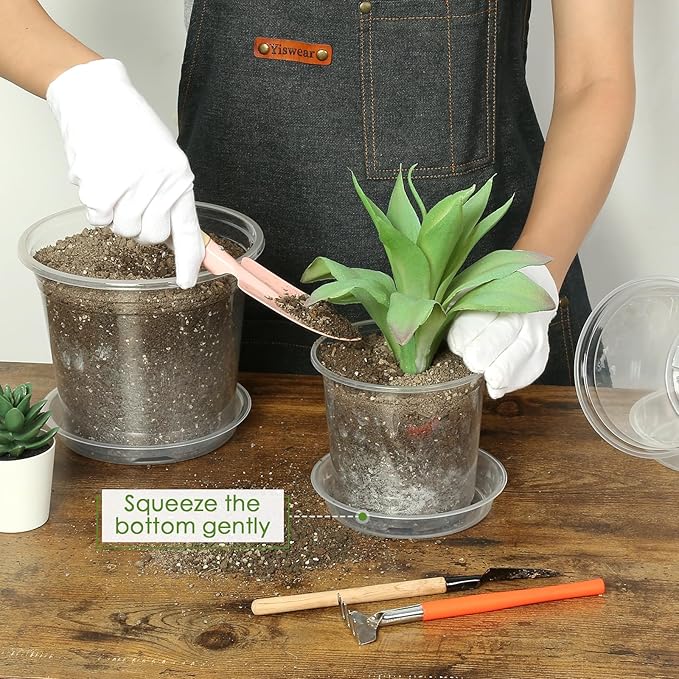 4/5/6/7 Inch Clear Nursery Pots - Image 4