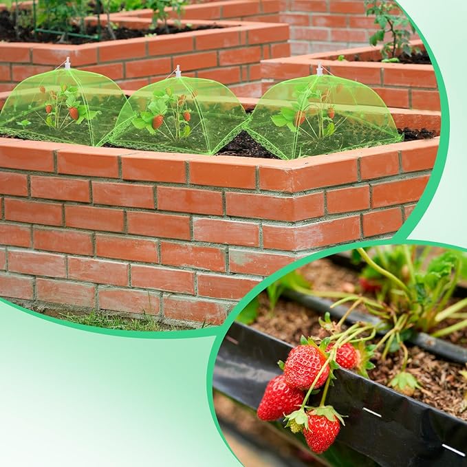 4 Sets Strawberry Plant Support - Image 4