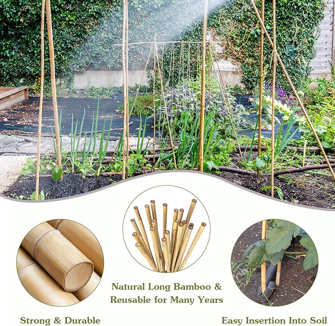 Plant Stakes 4FT, Natural Bamboo Stakes, HAINANSTRY 25Pcs Sturdy Bamboos Garden - Image 4