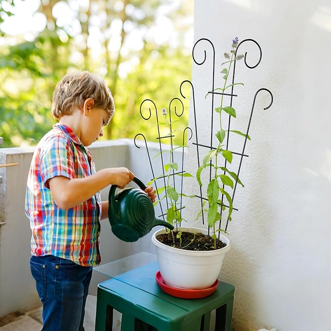 4 Pack 43'' Indoor Plant Trellis - Image 6