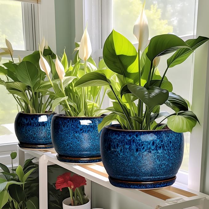 SQOWL 10 Inch Plant Pot - Image 7