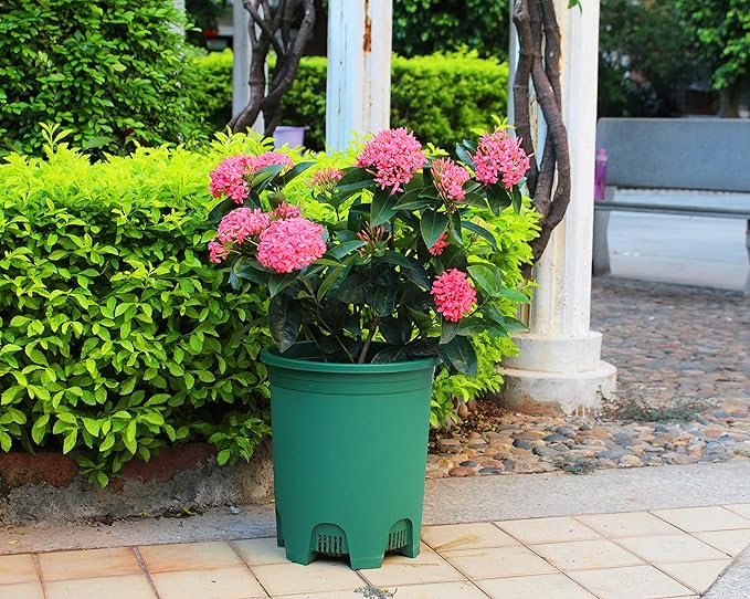 5 Gallon 10-Pack Green Nursery Pot Black Plastic Planters - Image 6