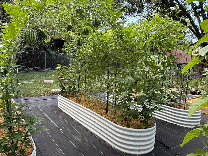 A ANLEOLIFE 12X3X1.5 ft Galvanized Raised Garden Beds Outdoor, Oval Extra Large - Image 2