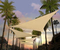 Amgo Custom Size 21' x 21' x 21' Beige Triangle Sun Shade Sail Order to Make by Amgo