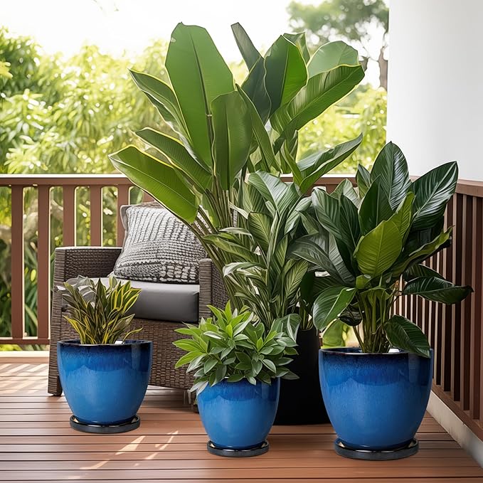 Ceramic Planters for Indoor Plants - Image 8