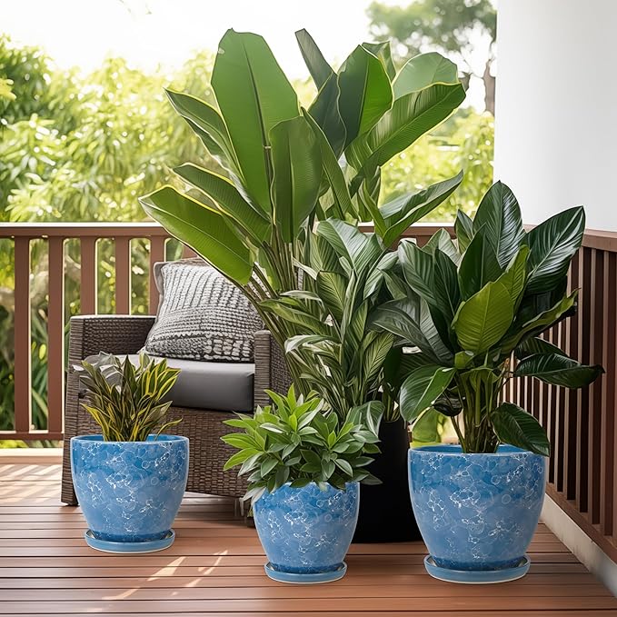 Ceramic Pots for Plants - Image 7