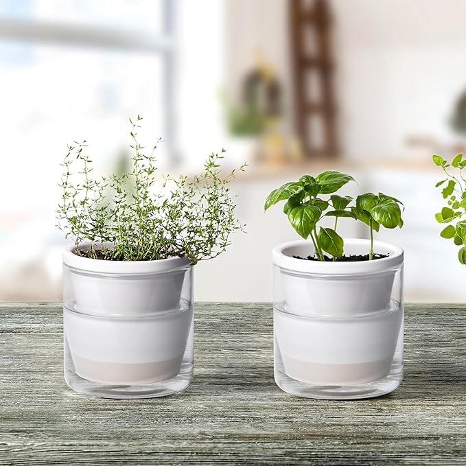 D'vine Dev 4 Inch Design Self Watering Planter - Image 2