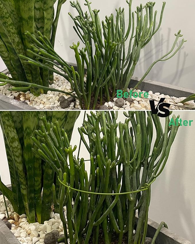 5 Pack Plant Support Stakes, Adjustable Plant Ring Cages - Image 5