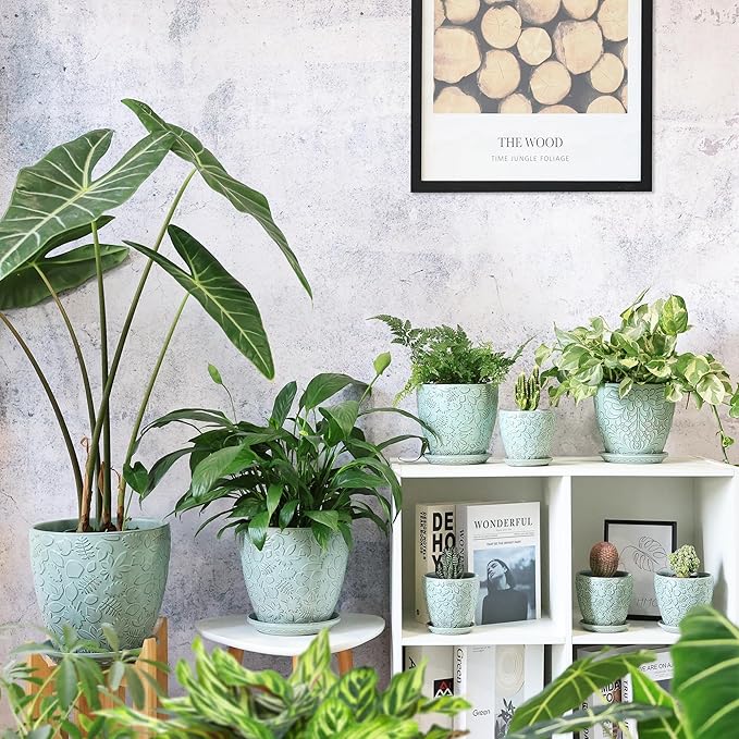 8 Inch + 6 Inch Plant Pots for Indoor Plants, Ceramic Planter - Image 6