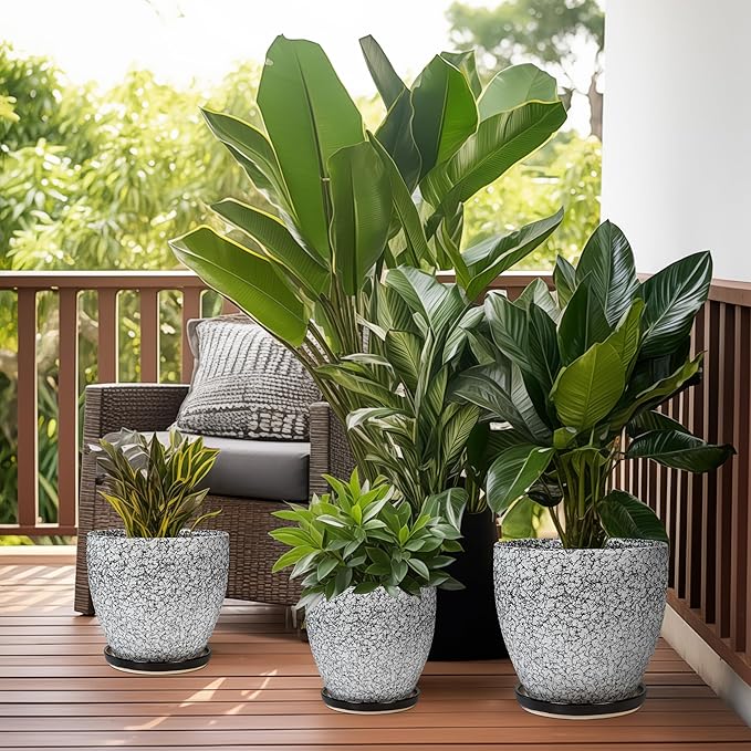 10 Inch Plant Pot - Image 7