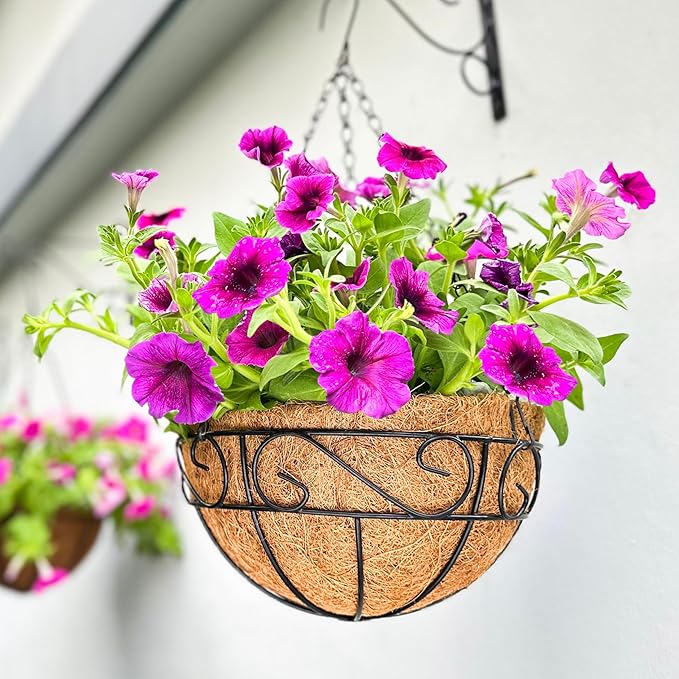 LaLaGreen Hanging Planter For Outdoor Extra Large Black Metal Wire Hanging by L%C3%A1L%C3%A1Green