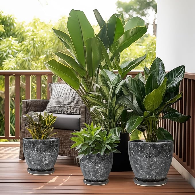 6.3 Inch Plant Pot - Image 7