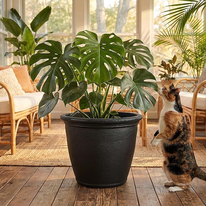 Sunnydaze 20-Inch Anjelica Large Plastic Pot - Image 9