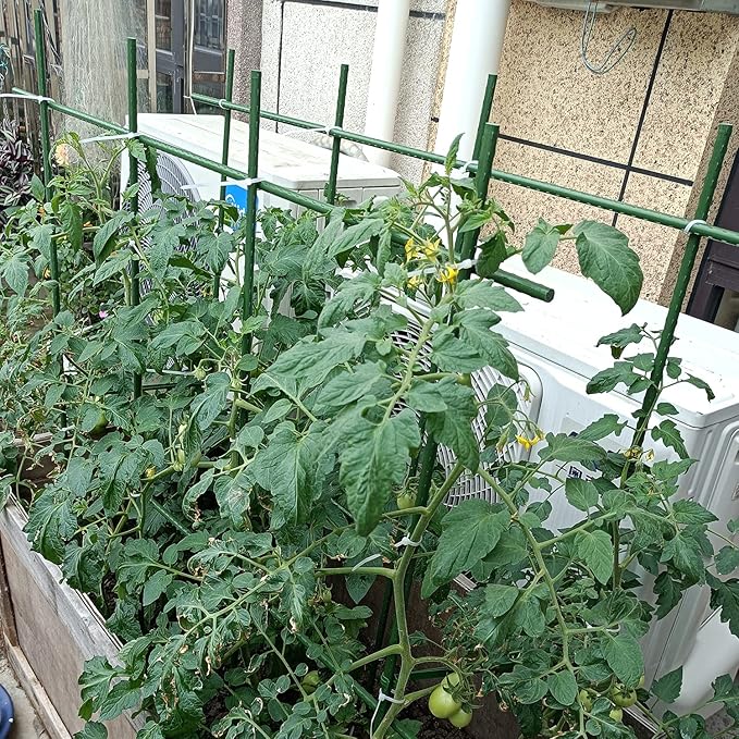 2Feet 24inch Garden Stakes Sturdy Plant Sticks Support Tomato Stakes - Image 3