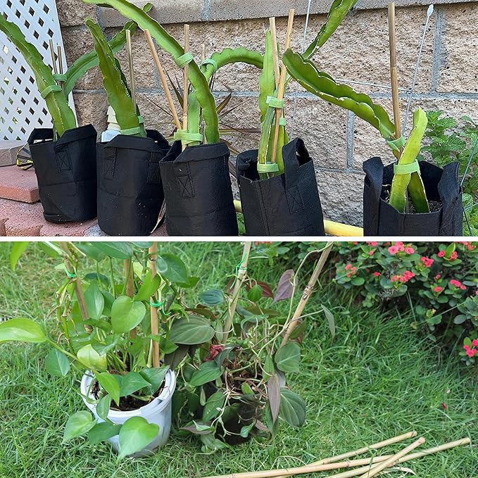 50Pcs / 3ft Bamboo Plant Stakes - Image 6