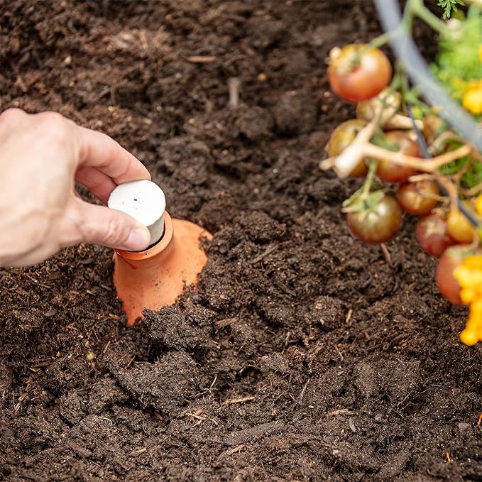 Back to the Roots Self-Watering Terracotta Olla Pot, 700mL Provides 1 Week of - Image 6